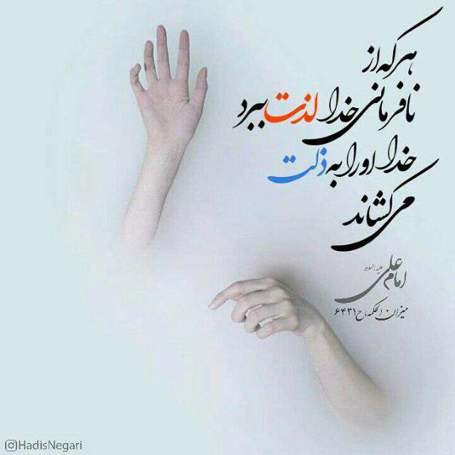 حدیثی از امام علی در مورد ذلت